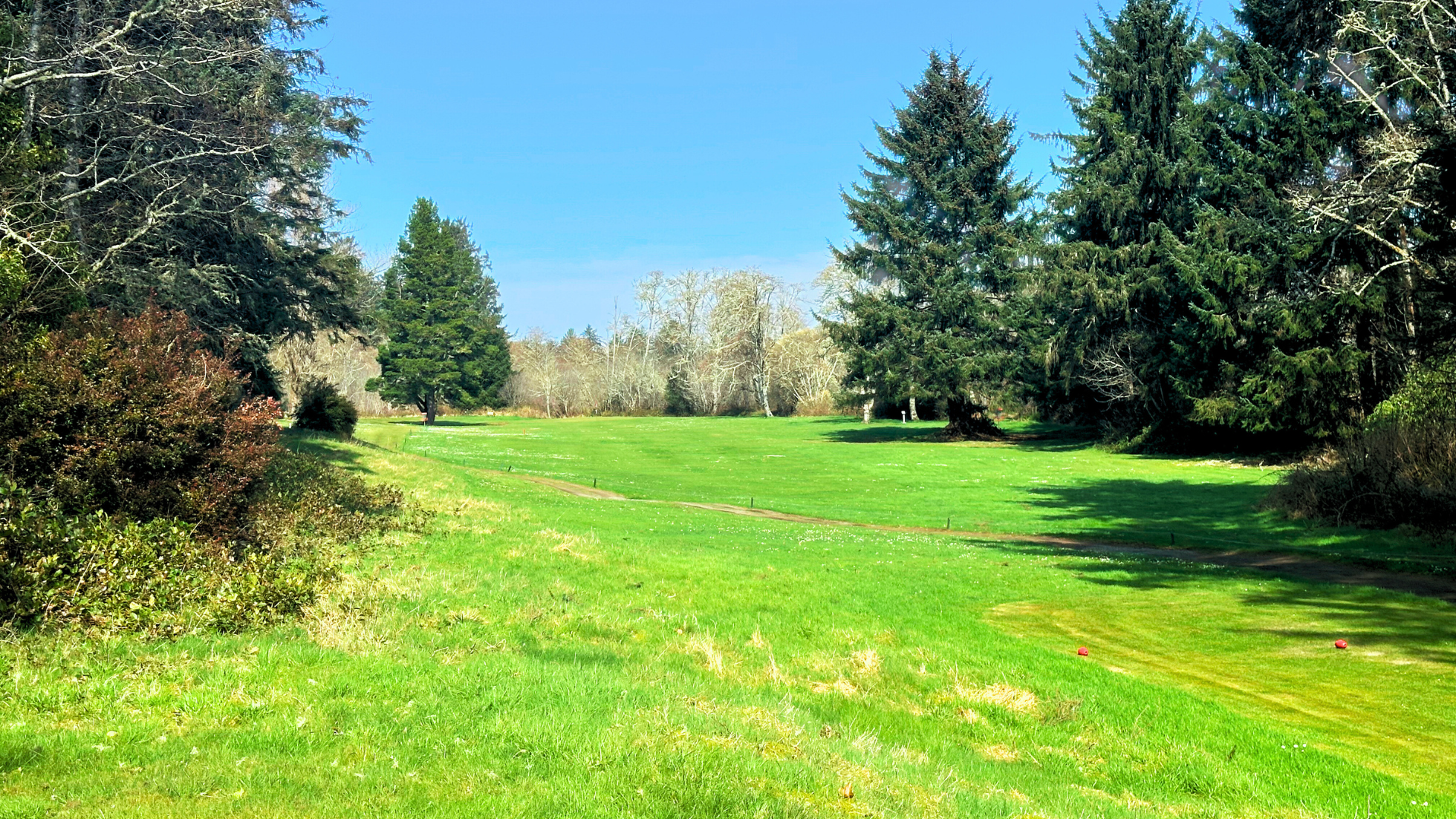 Golf course green with trees