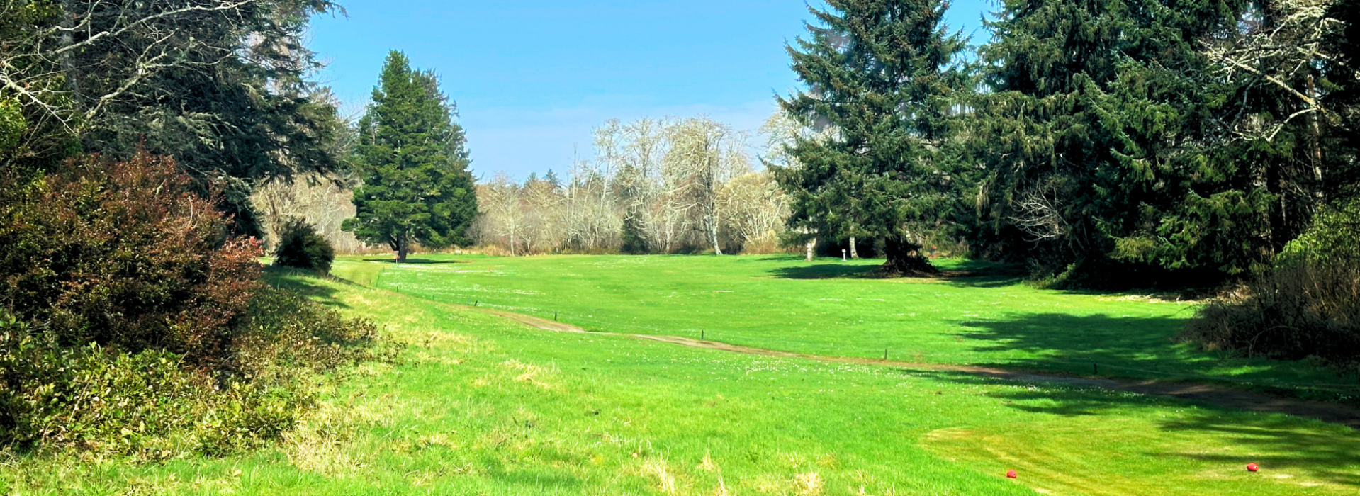 Golf course green with trees