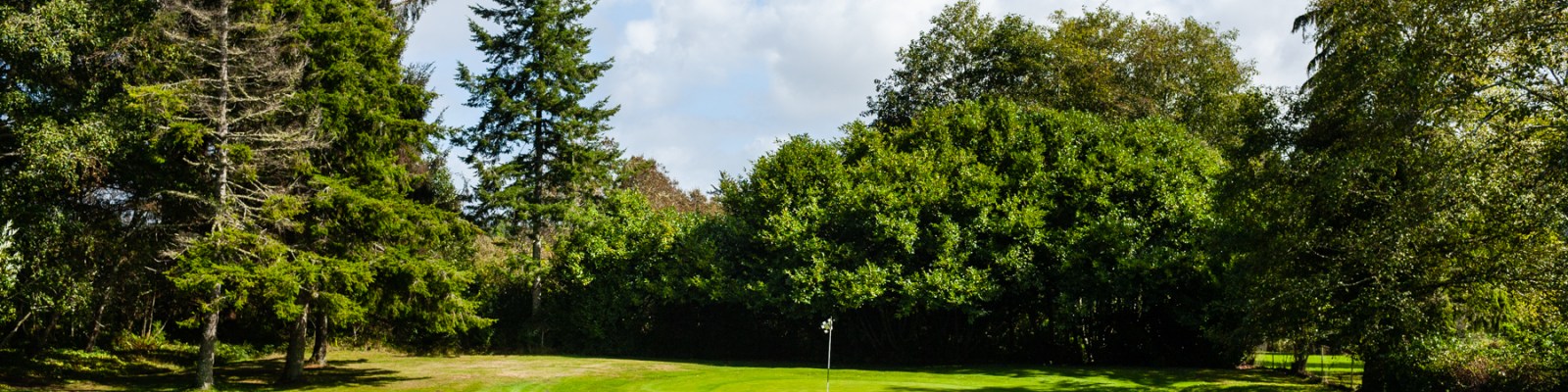 A peaceful green framed by tall trees and blue sky at Peninsula Golf Course, offering a scenic and nature-wrapped golf experience