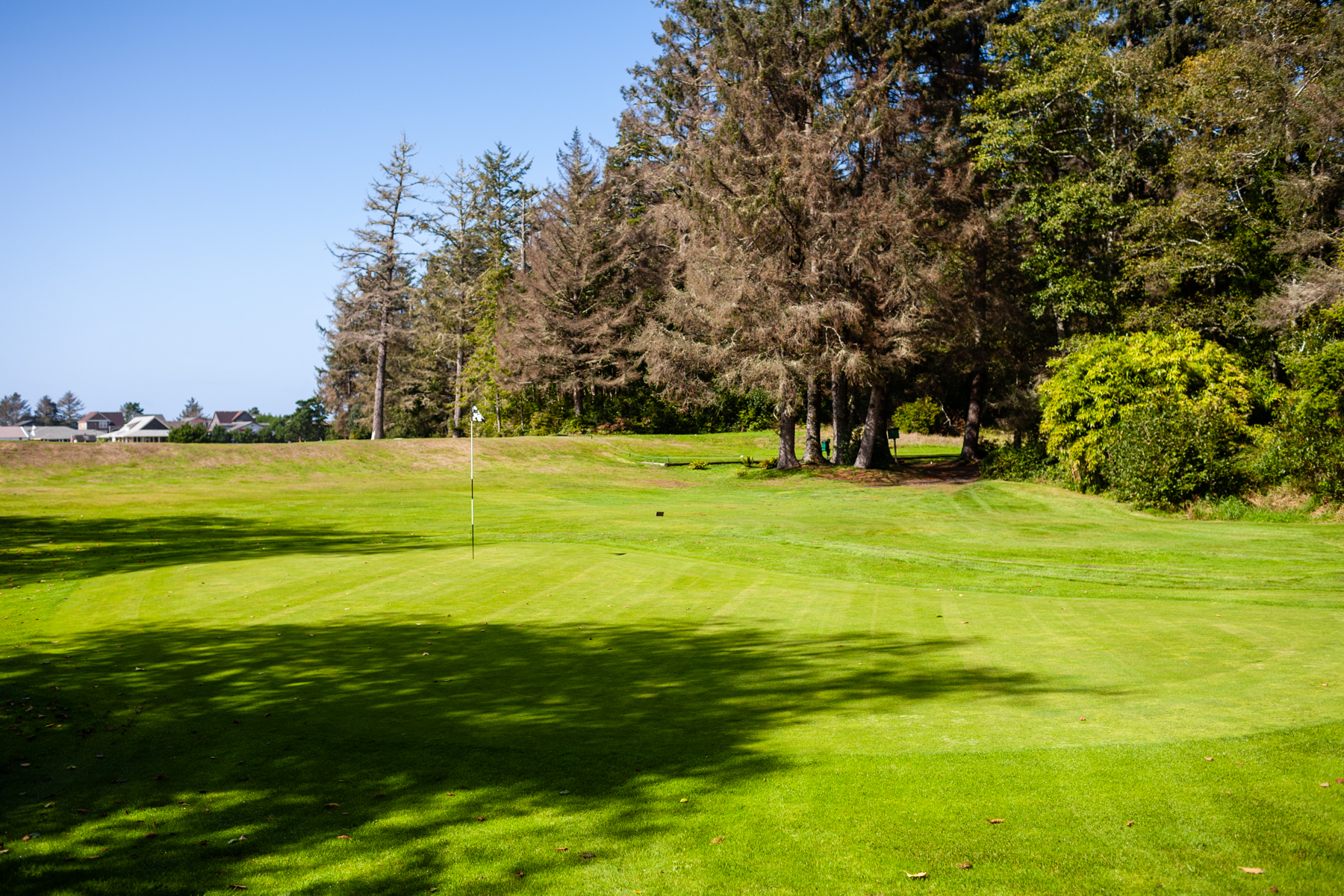 A peaceful green framed by tall trees and blue sky at Peninsula Golf Course, offering a scenic and nature-wrapped golf experience