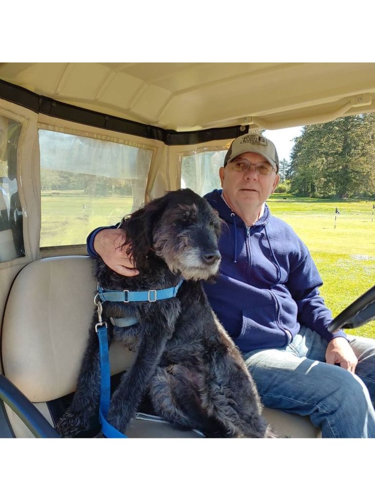Gray dog enjoying ride in golf cart with owner at Peninsula Golf Course