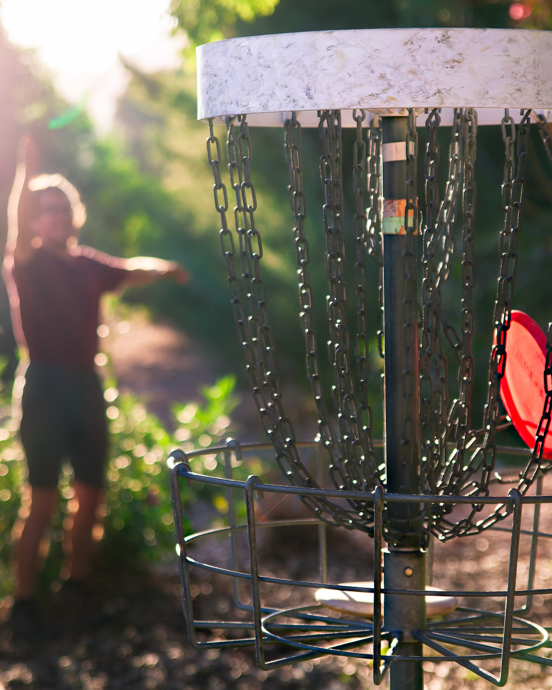 Disc Golf target basket